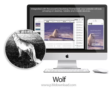 دانلود Wolf v1.52 MacOS نرم افزار طراحی سایت برای مک