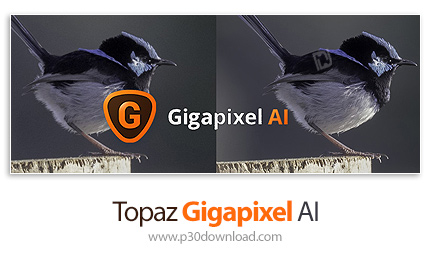 دانلود Topaz Gigapixel AI v7.1.2 x64 - نرم افزار افزایش کیفیت عکس تا 6 برابر اندازه واقعی و با حفظ ک