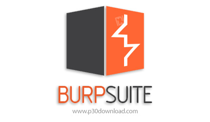 دانلود Burp Suite Professional 2024.2.1.4 - نرم افزار بررسی امنیت شبکه