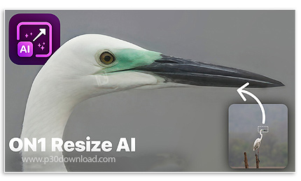 دانلود ON1 Resize AI 2026 v20.0.0.17231 x64 - نرم افزار ویرایش و تغییر سایز تصاویر بدون کاهش کیفیت ب