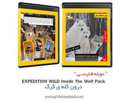دانلود Expedition Wild: Inside The Wolf Pack - مستند دوبله فارسی درون گله گرگ