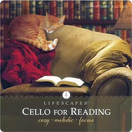 دانلود آلبوم Daniel May: Cello for Reading - موسیقی آرامش بخش برای مطالعه