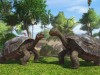 Zoo Tycoon Screenshot 3