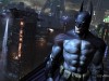 Batman: Arkham City  Screenshot 3