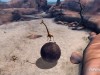 Madagascar: Escape 2 Africa Screenshot 4