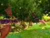 The Legend of Spyro: Dawn of the Dragon Screenshot 1