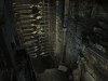 Tomb Raider: Underworld Screenshot 2