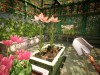 Garden Life: A Cozy Simulator Screenshot 3