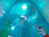System of Souls Screenshot 1