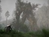 Crimson Desert Screenshot 4