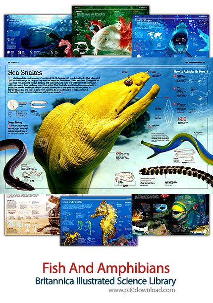 دانلود کتاب دایرة المعارف مصور بریتانیکا: ماهی ها و دوزیستان