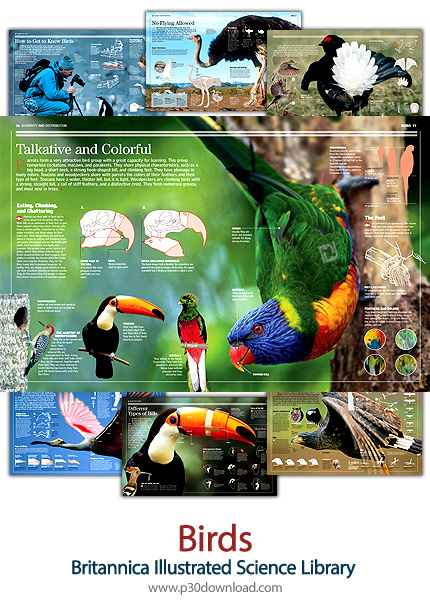 دانلود کتاب دایرة المعارف مصور بریتانیکا: پرندگان