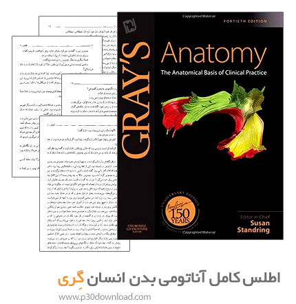 دانلود Gray's Anatomy-The Anatomical Basis of Clinical Practice - اطلس کامل آناتومی بدن انسان گری