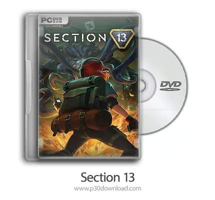 Section 13 icon
