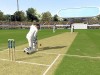 Ashes Cricket Screenshot 4