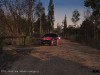 Sébastien Loeb Rally Evo Screenshot 3