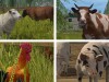 farming simulator Screenshot 4