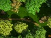 Zombie Forest 2 Screenshot 2