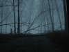 Dead Forest Screenshot 3