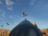 theHunter: Call of the Wild - Duck and Cover Screenshot 5