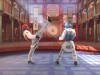 Taekwondo Grand Prix Screenshot 4