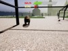 Lawnmower Game 3: Horror Screenshot 5