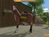 My Little Riding Champion Screenshot 5