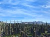 Cities XXL: Complete Edition Screenshot 3