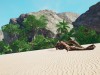 Tropical Escape Screenshot 4