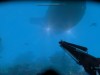 Shark Attack Deathmatch 2 Screenshot 5