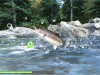 Reel Fishing: Road Trip Adventure Screenshot 1