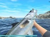 Reel Fishing: Road Trip Adventure Screenshot 3