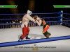 CHIKARA: Action Arcade Wrestling Screenshot 5
