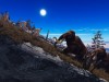Evolution Battle Simulator: Prehistoric Times Screenshot 5