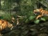 Tomb Raider: Underworld Screenshot 4