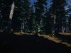Mushroom Picker Simulator Screenshot 4