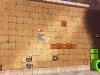 Super Mario Odyssey Screenshot 4
