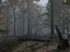 Pro Deer Hunting 2 Screenshot 1