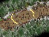 Imperivm RTC - HD Edition Great Battles of Rome Screenshot 1