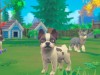 My Universe - Puppies & Kittens Screenshot 5