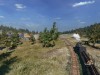 Railway Empire 2 Screenshot 3