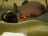 Fish Game Screenshot 1