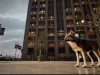 WOLF IN THE CITY Screenshot 5