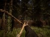 Sons Of The Forest Screenshot 3
