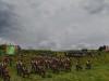 Scourge Of War - Remastered Screenshot 4