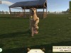 Animal Trainer Simulator Screenshot 1