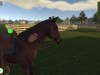 Animal Trainer Simulator Screenshot 4