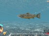 Reel Fishing: Days of Summer Screenshot 4