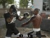 Backyard Boxing Screenshot 3