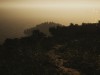 Lushfoil Photography Sim Screenshot 3